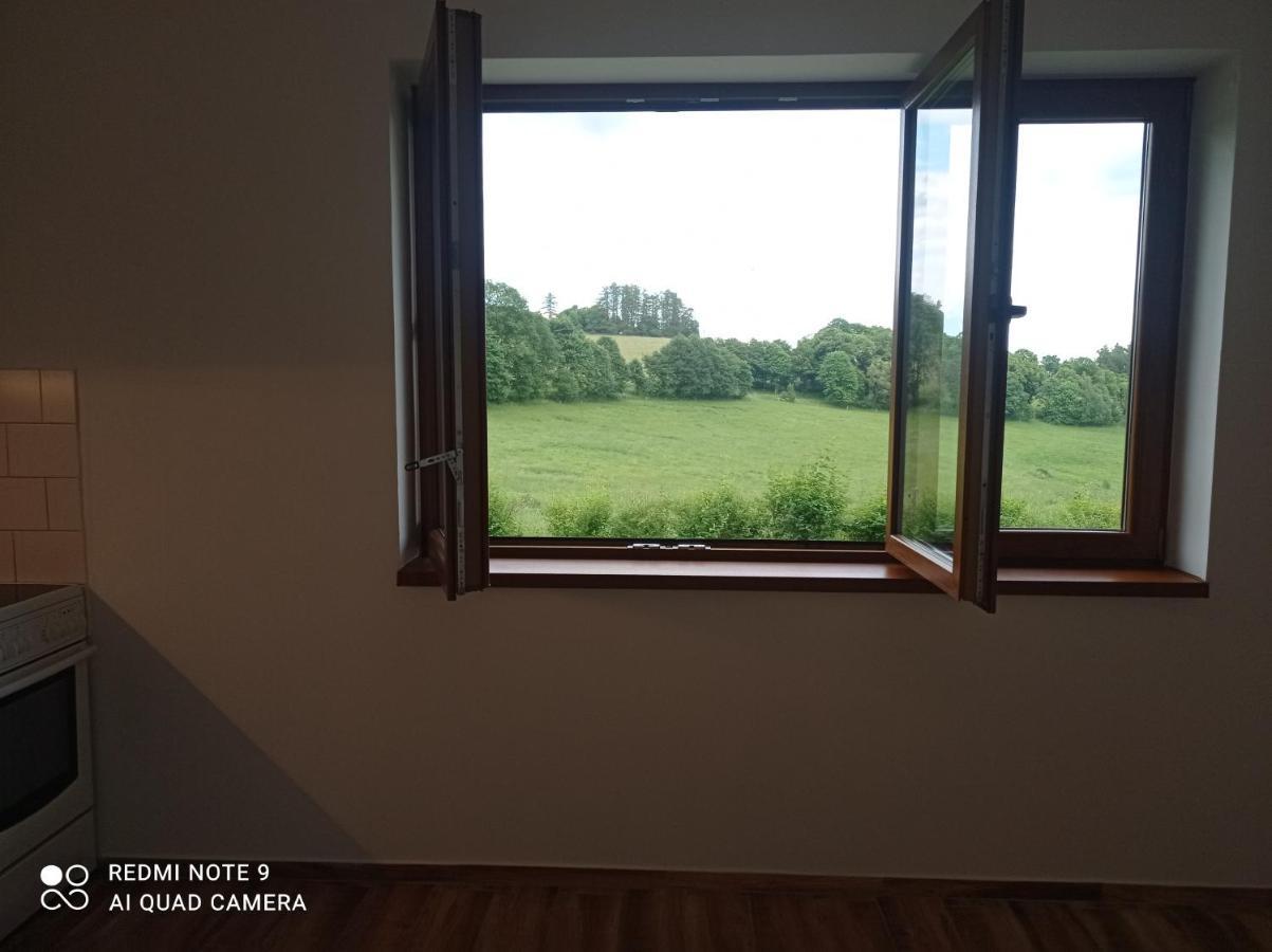 Apartmany U Becova Nad Teplou Bečov nad Teplou Exteriör bild