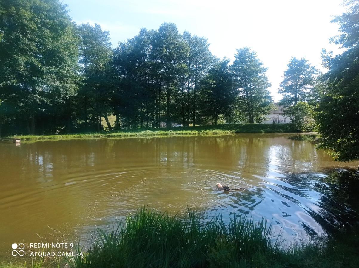 Apartmany U Becova Nad Teplou Bečov nad Teplou Exteriör bild