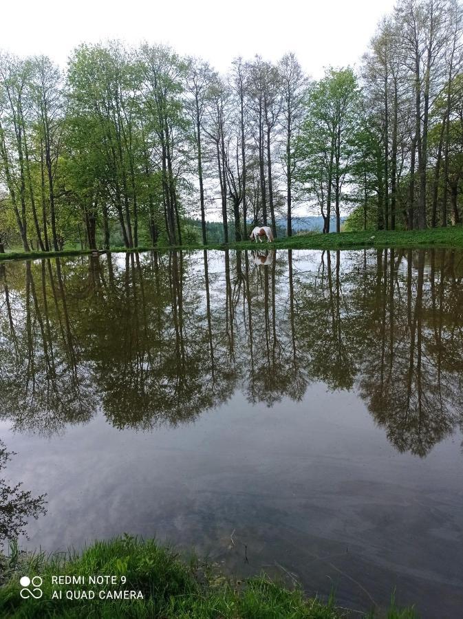 Apartmany U Becova Nad Teplou Bečov nad Teplou Exteriör bild